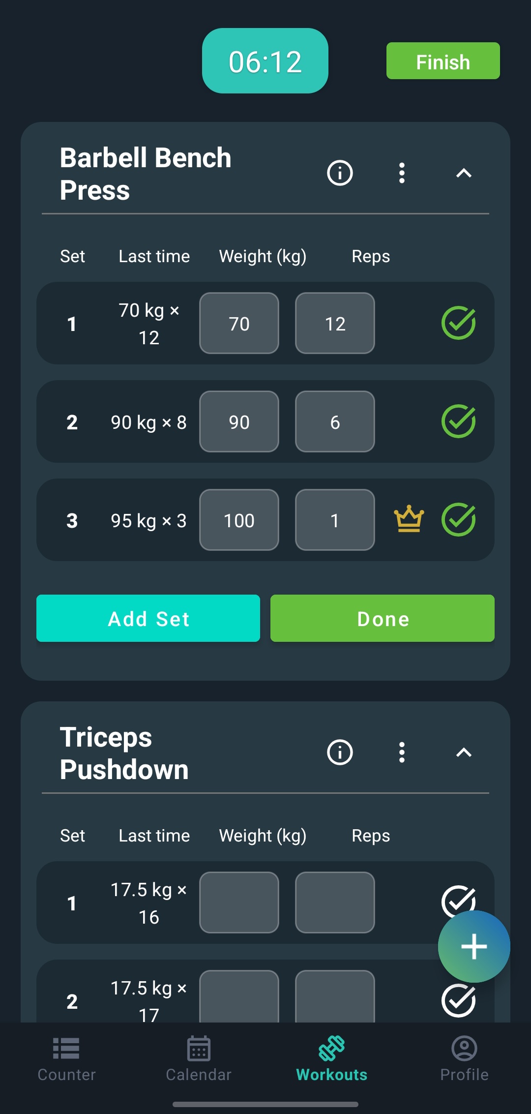 Active workout session with tracked sets